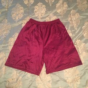 Velvet Mesh Shorts